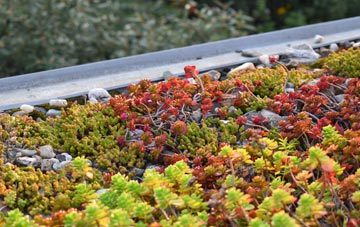 the cost of Ryton Woodside green roof installation