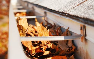 Ryton Woodside gutter cleaning companies