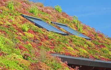 Ryton Woodside living roof systems