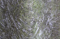 Ryton Woodside fibreglass roof work